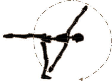 albatross oneleg horizontal